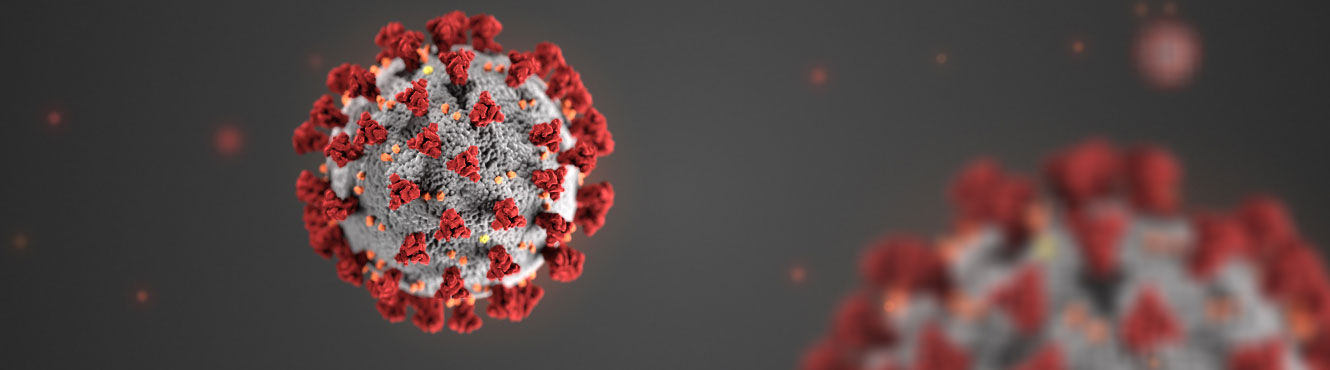 STOCK Coronavirus horizontal